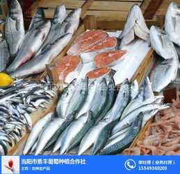 新乡鲜活水产批发与百货商品概览