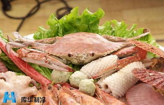 海鲜保鲜与百货类水产品冷库制作指南