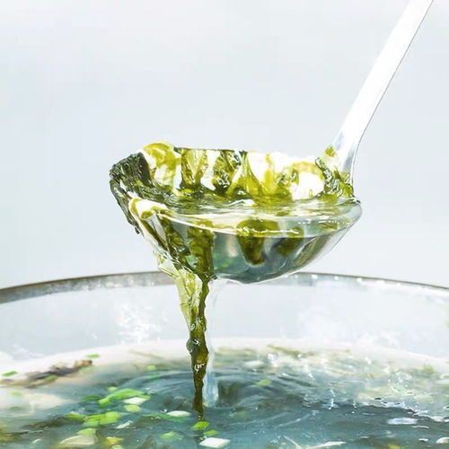 探寻福建霞浦特产 头水紫菜干货的无沙鲜美之旅