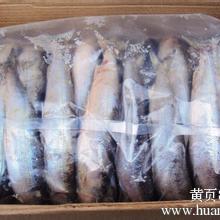 嘉鱼水产品公司 专业水产，品质保障