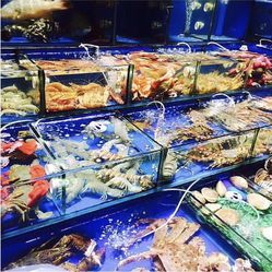 黄沙海鲜水产交易市场花生的多元价值