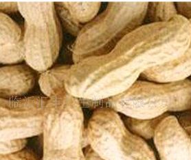 汇丰花生休闲食品加盟费用详解及品牌优势