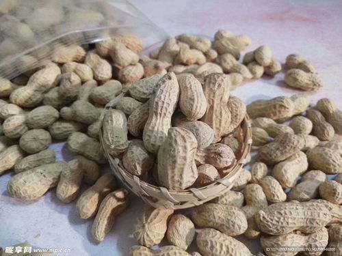 大地恩赐的缩影 花生的微观摄影之美