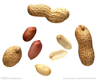 花生 土地的珍宝，餐桌的常客