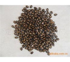 从定州市众口香食品厂看花生与瓜子 国民零食的品质与风味之旅